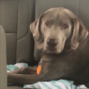 Meet your Posher, Judson